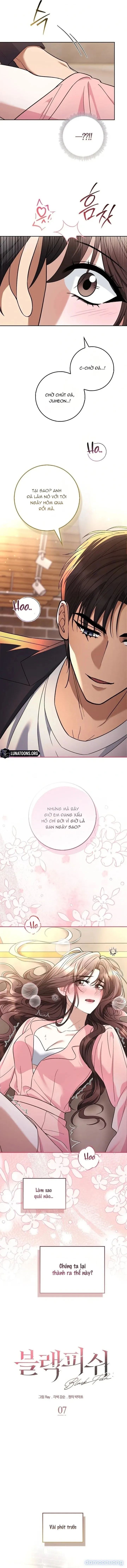 Cá Voi Đen 