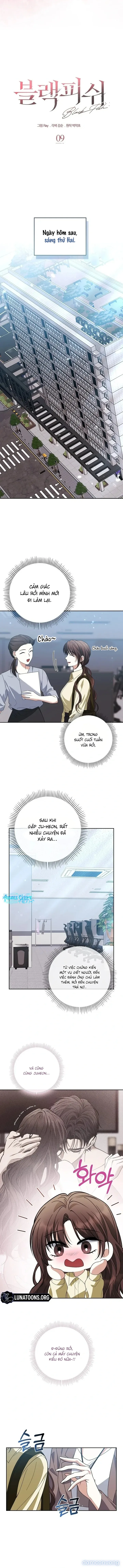 Cá Voi Đen 