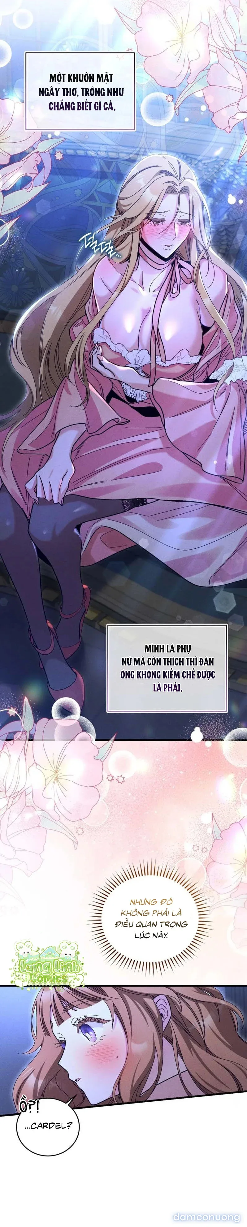 Lịch sử ở thư viện 