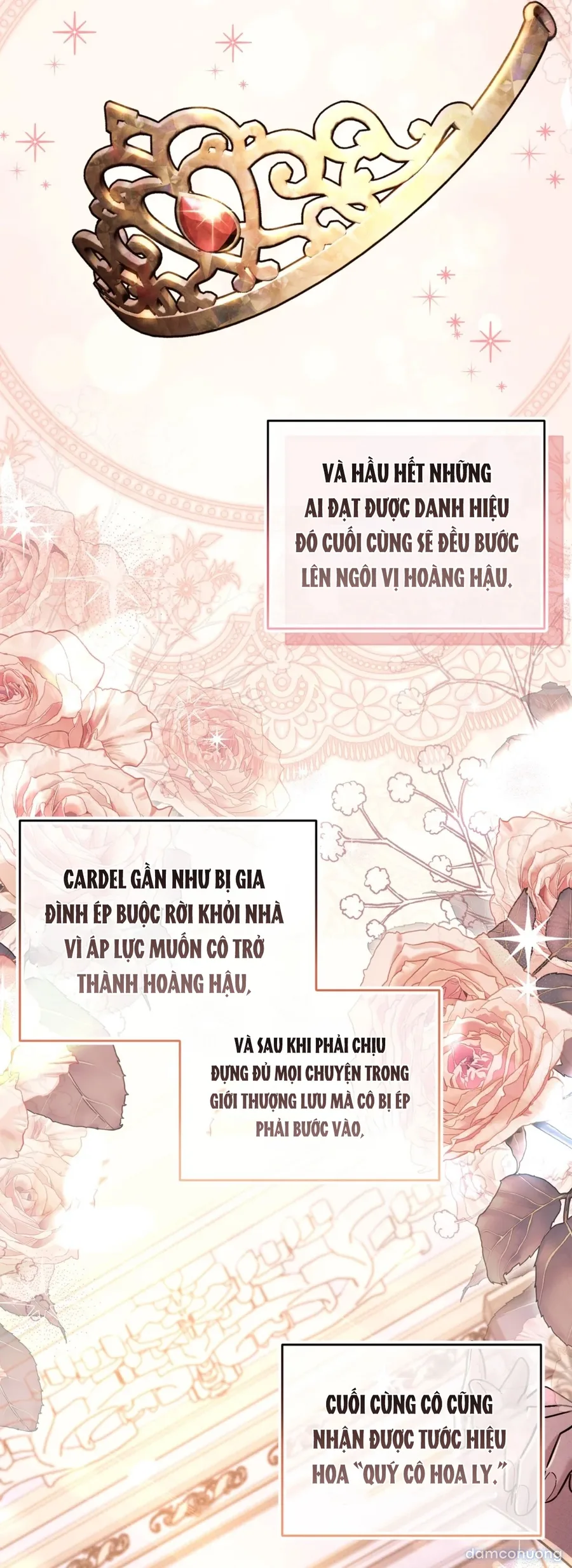 Lịch sử ở thư viện 