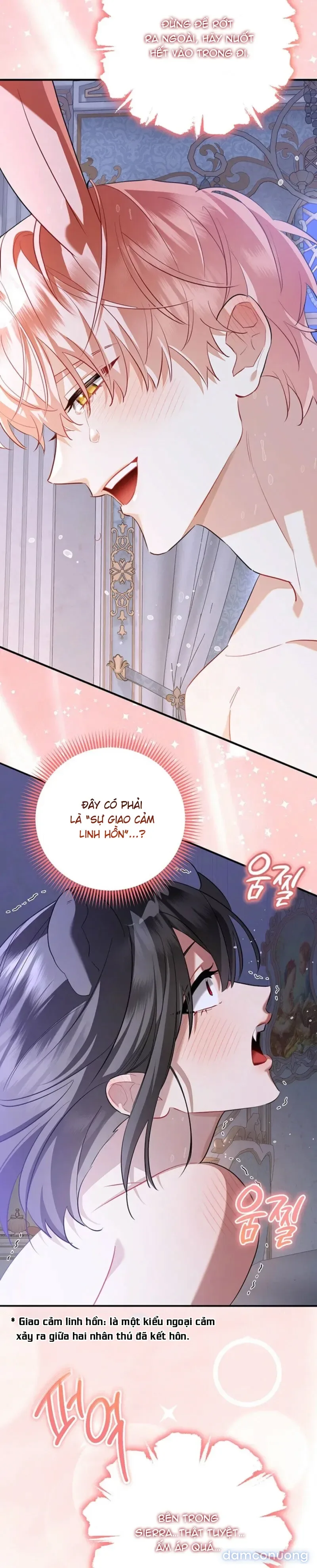 Không Hài Lòng Với Anh Chồng Thỏ 
