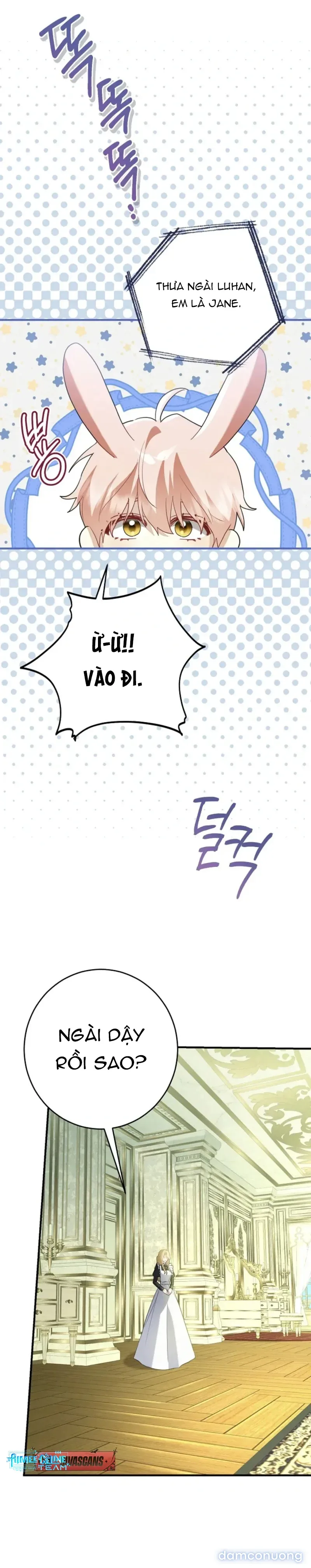 Không Hài Lòng Với Anh Chồng Thỏ 