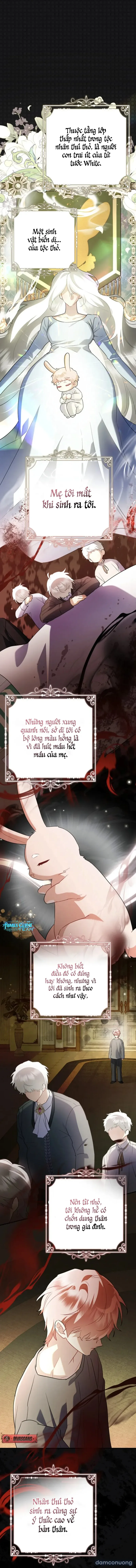 Không Hài Lòng Với Anh Chồng Thỏ 