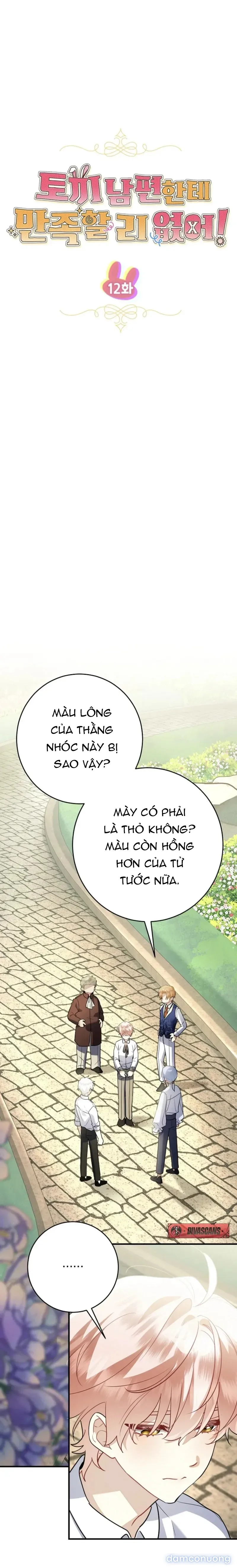 Không Hài Lòng Với Anh Chồng Thỏ 