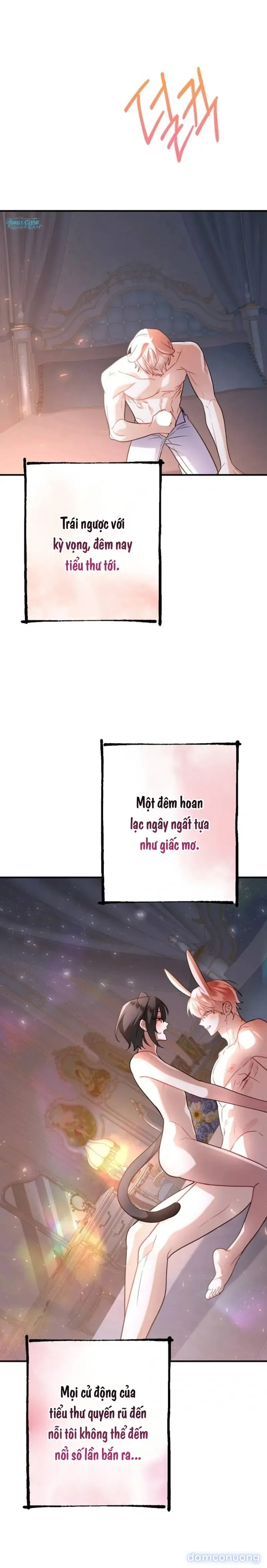 Không Hài Lòng Với Anh Chồng Thỏ 