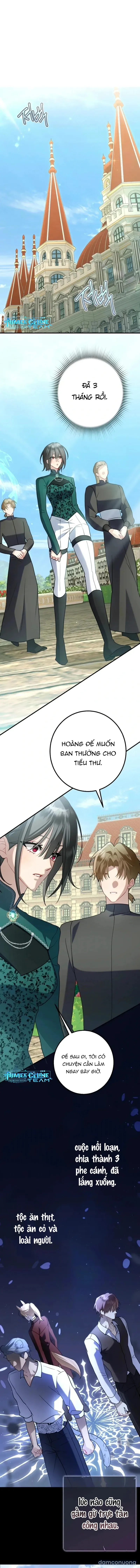 Không Hài Lòng Với Anh Chồng Thỏ 