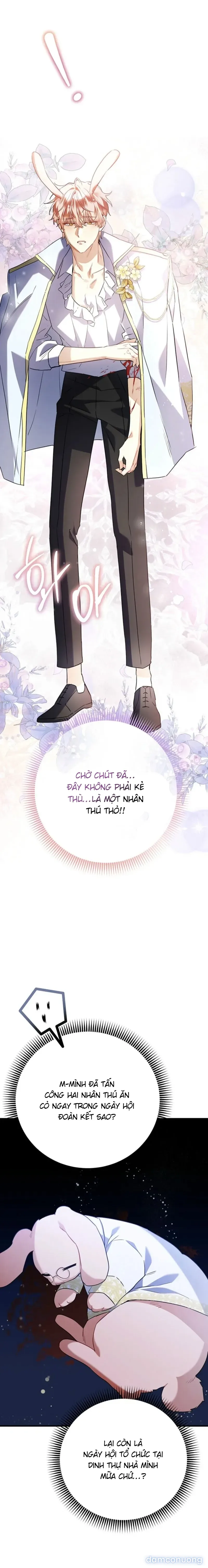 Không Hài Lòng Với Anh Chồng Thỏ 