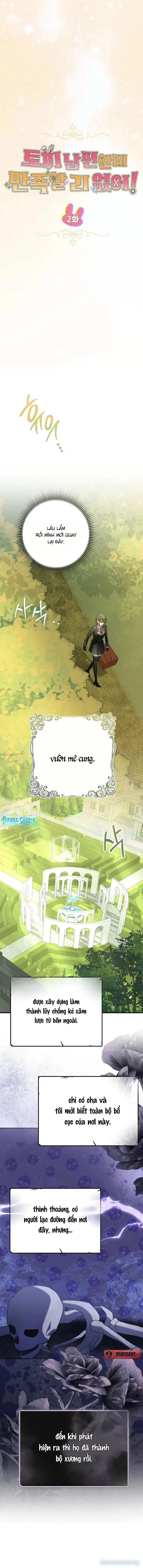 Không Hài Lòng Với Anh Chồng Thỏ 