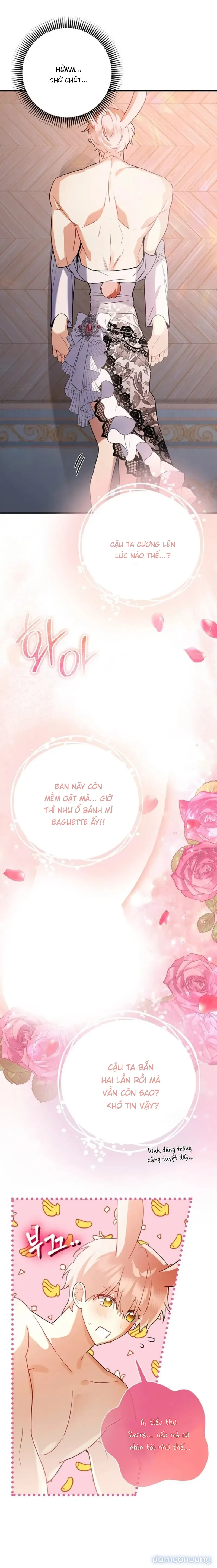 Không Hài Lòng Với Anh Chồng Thỏ 