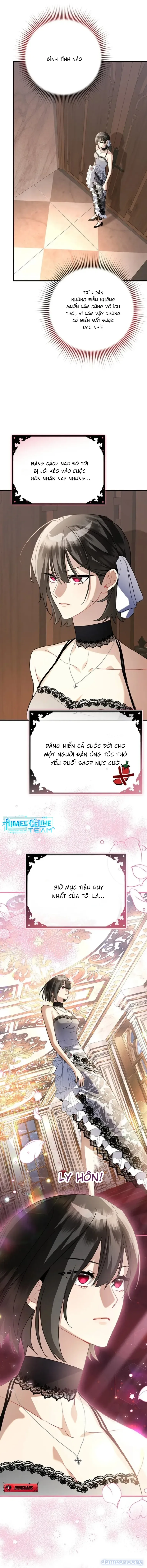 Không Hài Lòng Với Anh Chồng Thỏ 