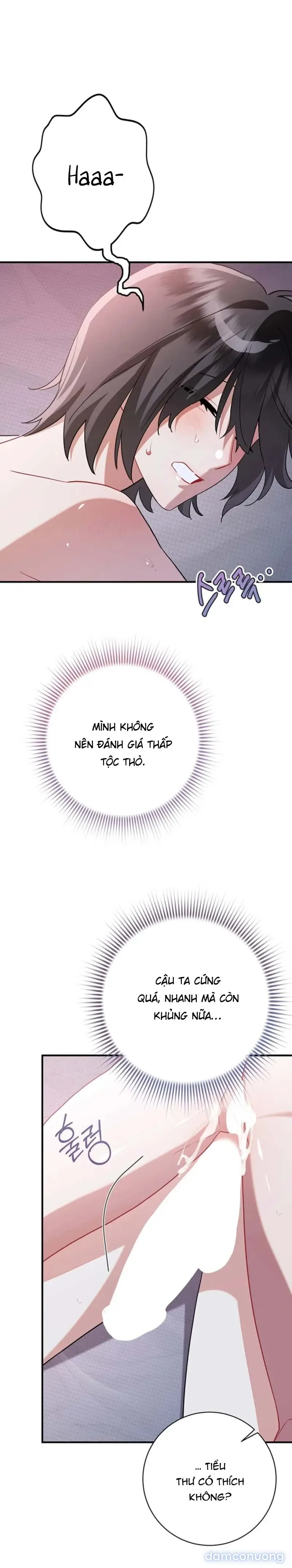 Không Hài Lòng Với Anh Chồng Thỏ 