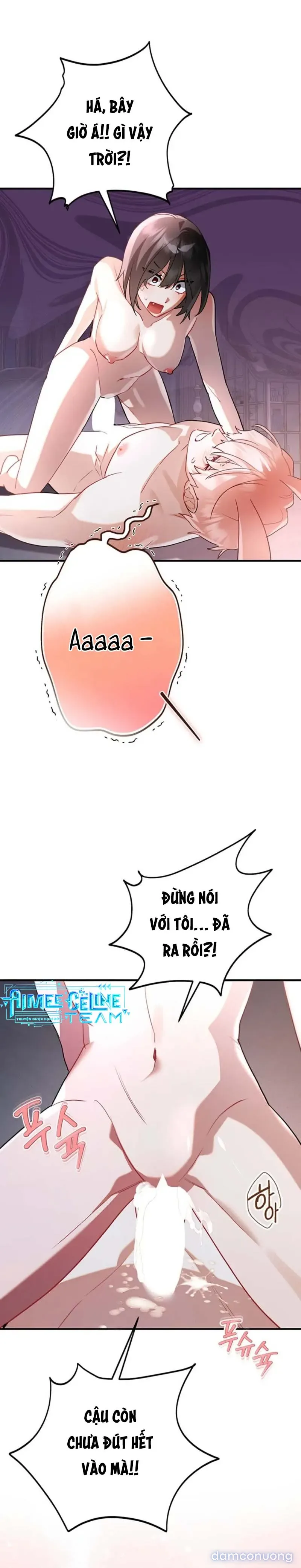 Không Hài Lòng Với Anh Chồng Thỏ 