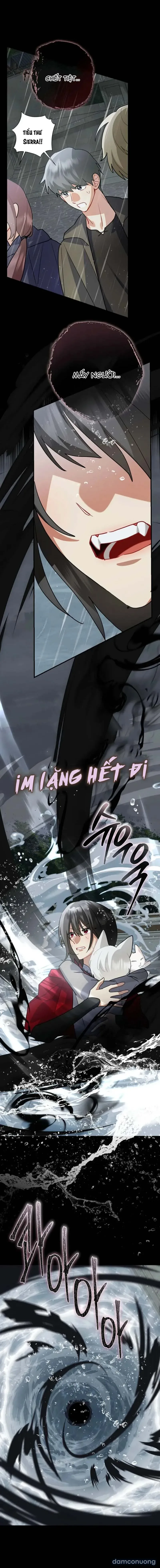 Không Hài Lòng Với Anh Chồng Thỏ 