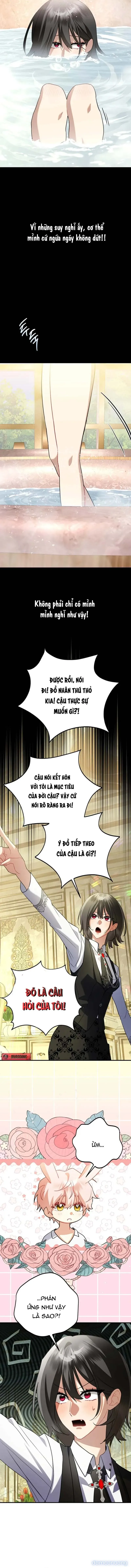 Không Hài Lòng Với Anh Chồng Thỏ 