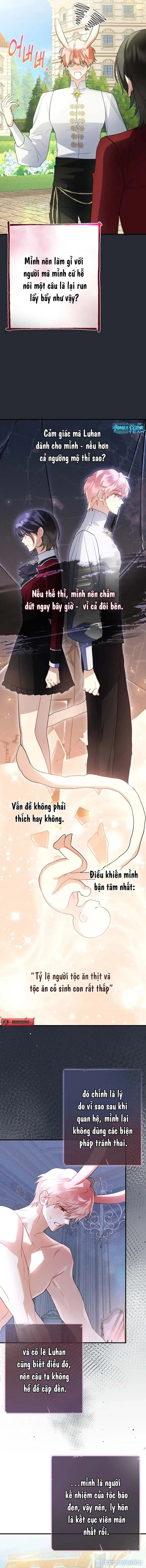 Không Hài Lòng Với Anh Chồng Thỏ 