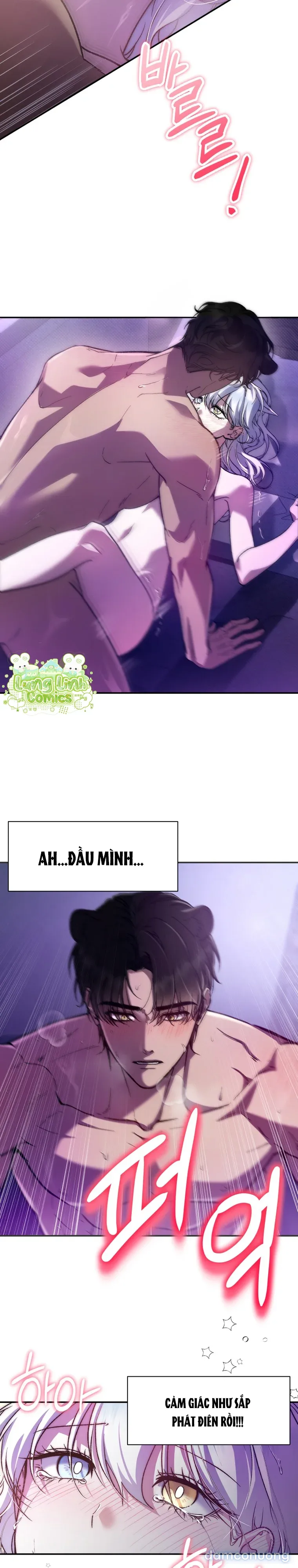 Hắc Báo Nhà Bên 