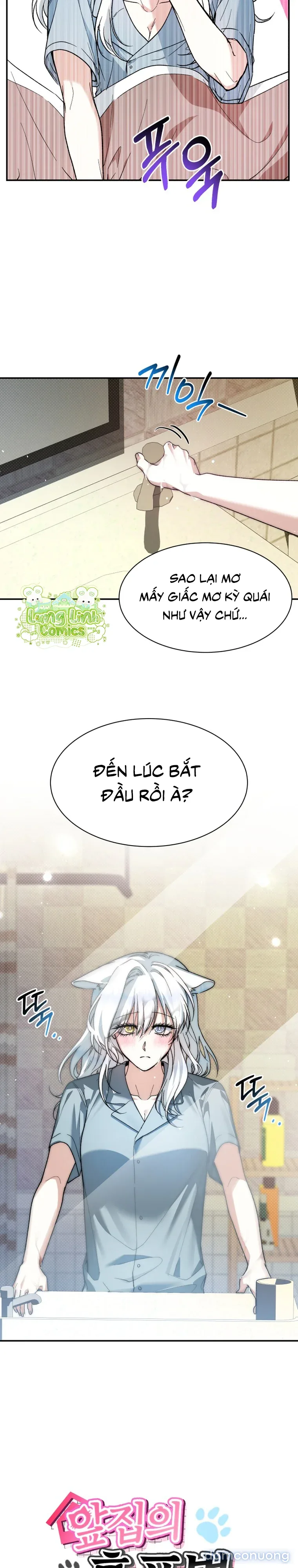 Hắc Báo Nhà Bên 