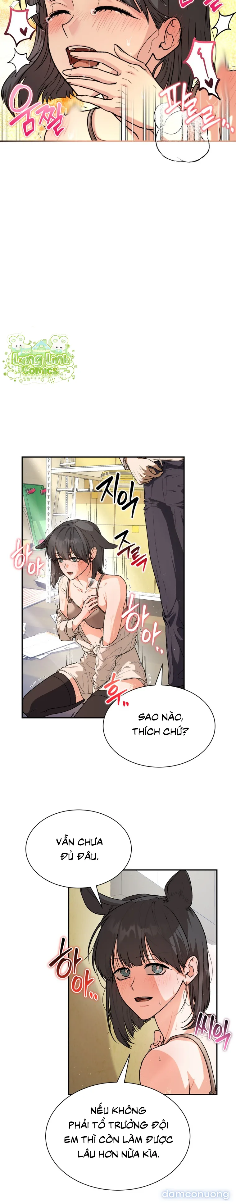 Hắc Báo Nhà Bên 