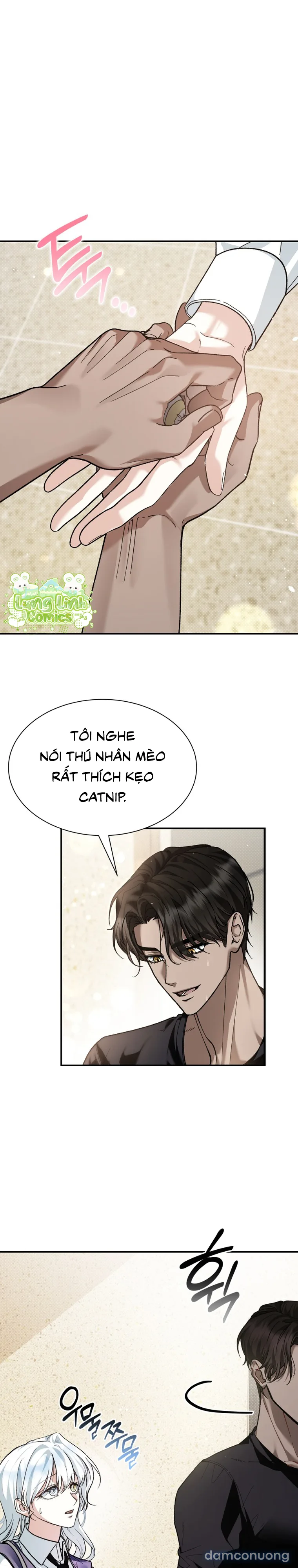 Hắc Báo Nhà Bên 