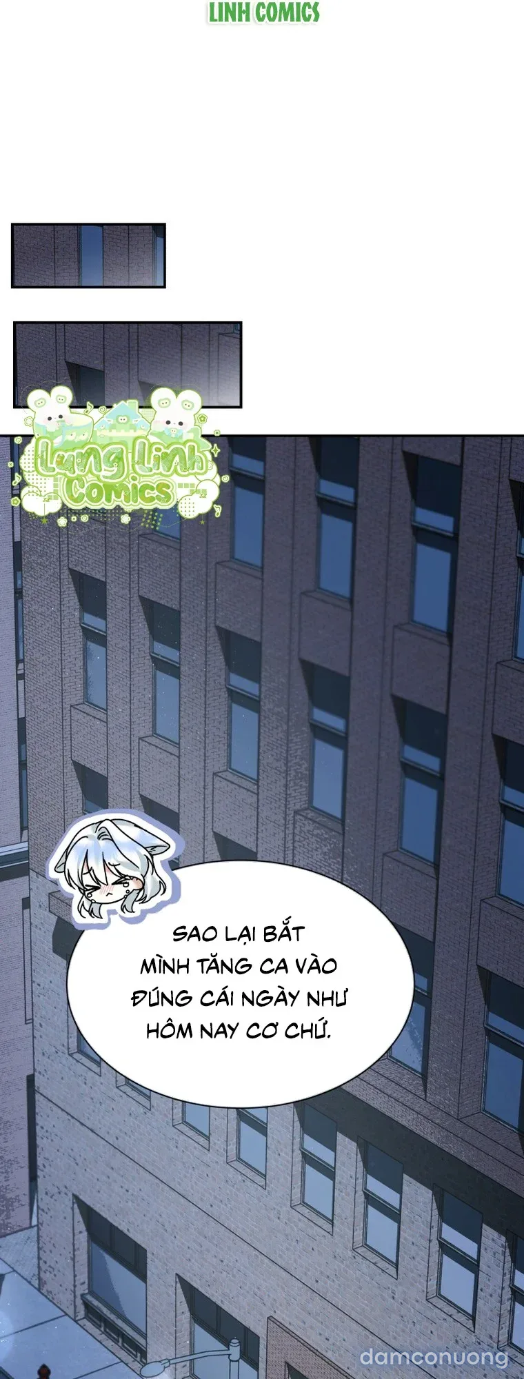 Hắc Báo Nhà Bên 