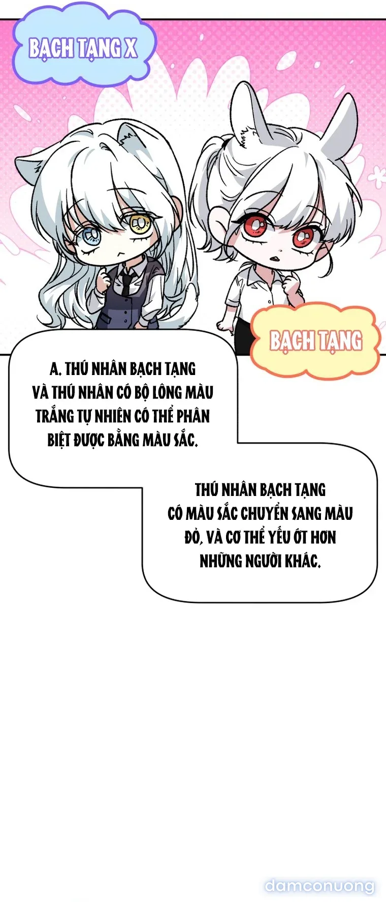Hắc Báo Nhà Bên 