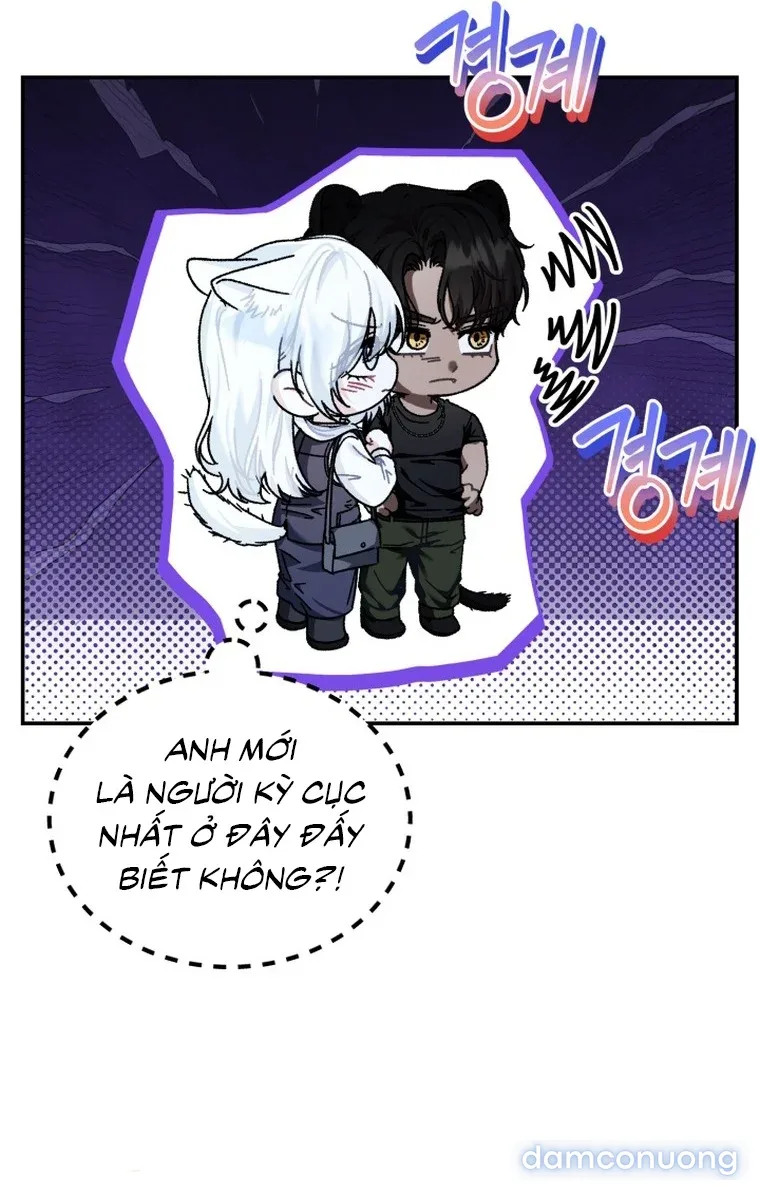 Hắc Báo Nhà Bên 
