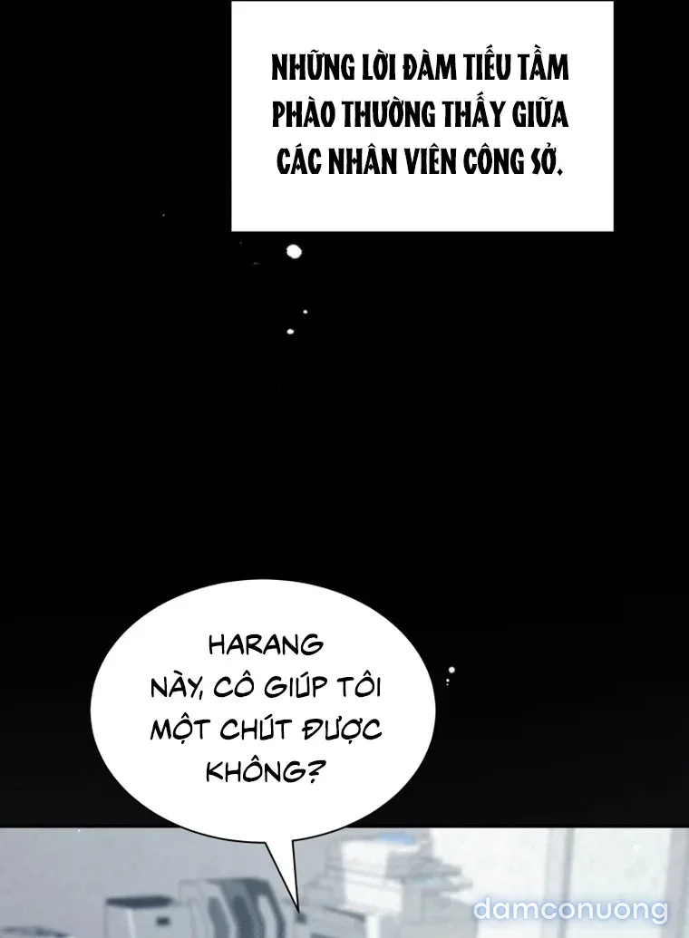 Hắc Báo Nhà Bên 