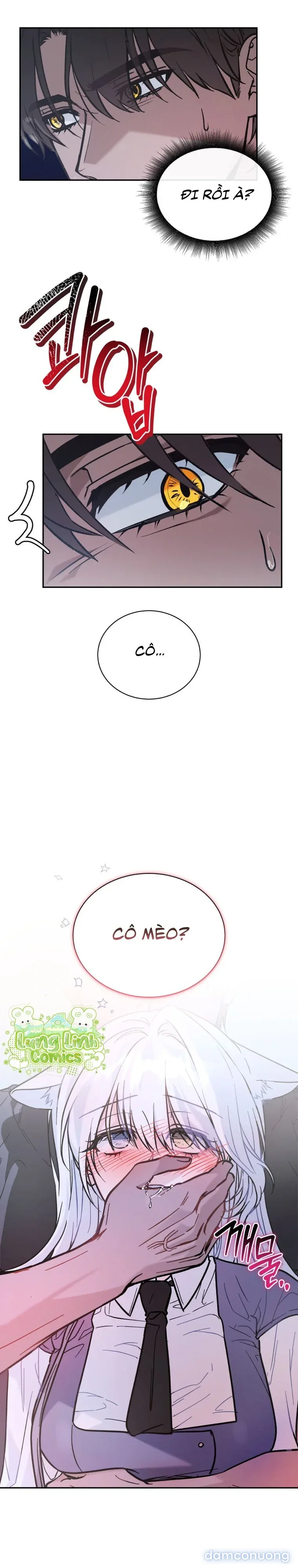 Hắc Báo Nhà Bên 