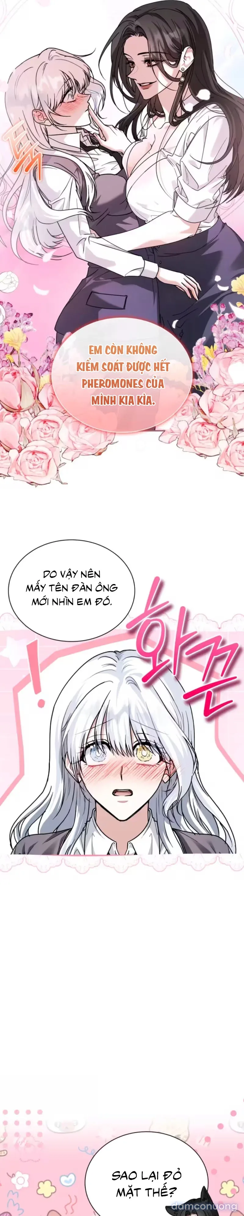 Hắc Báo Nhà Bên 