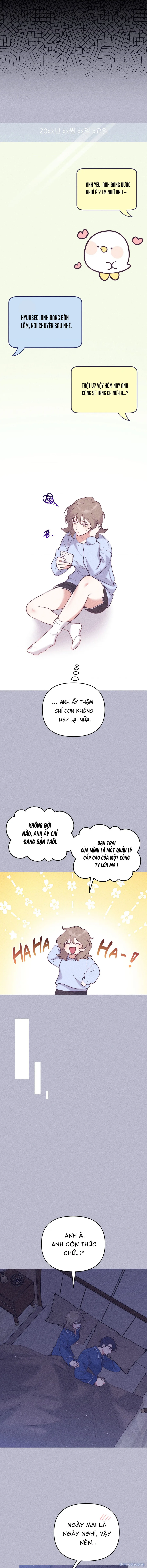 Họ Sống Hạnh Phúc Mãi Về Sau 