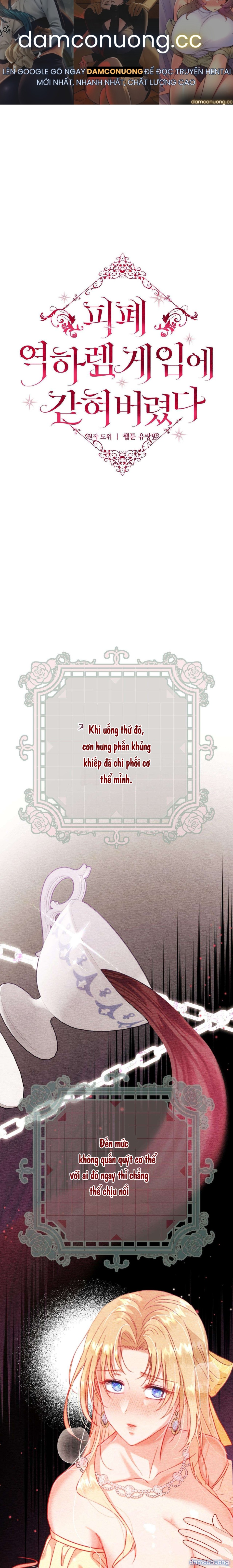[ 18+ KHÔNG CHE ] Bị Mắc Kẹt Trong Trò Chơi Harem Ngược Vô Vọng 