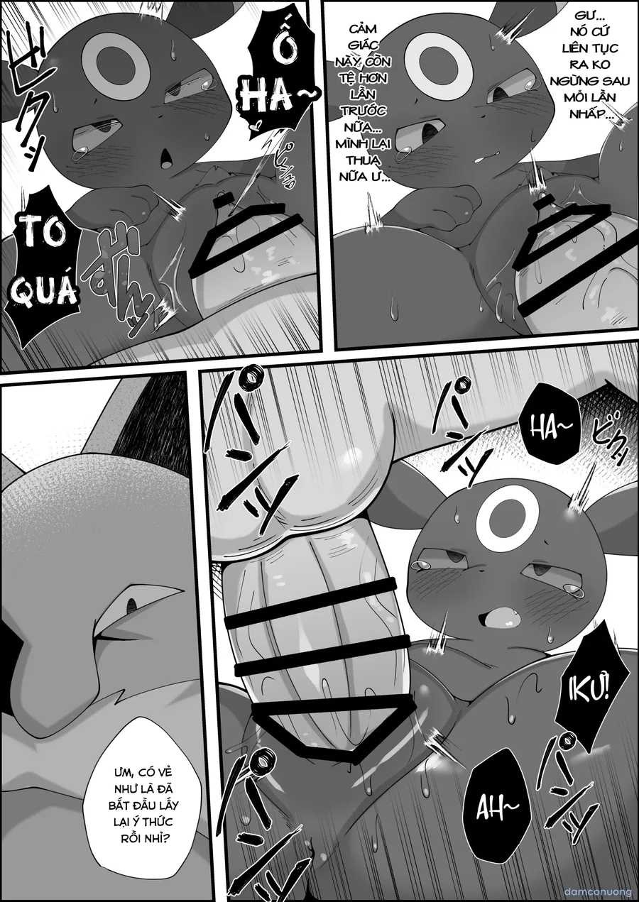 Thôi miên em Umbreon siu ngọt nước! 