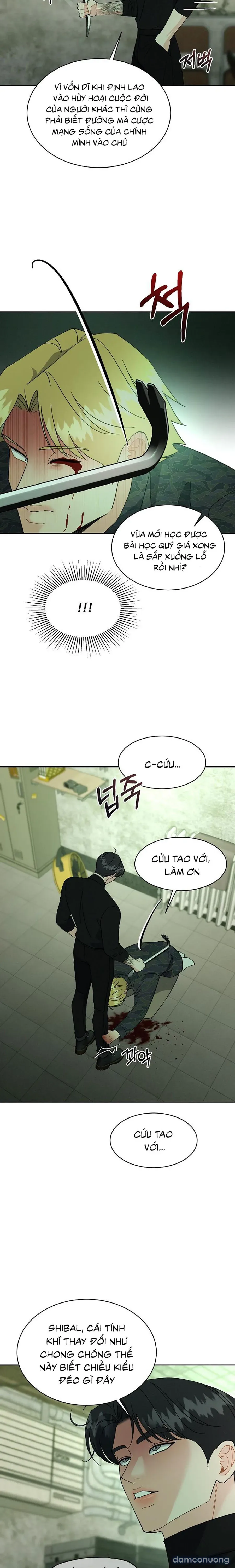 [19+] Lãng Mạn Chân Phương 