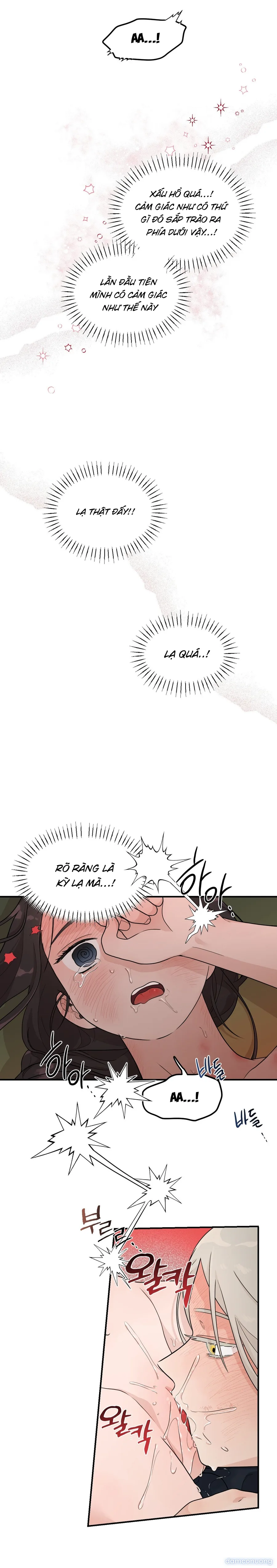 〖 KHÔNG CHE 〗-〖18+〗- BIBISAE 