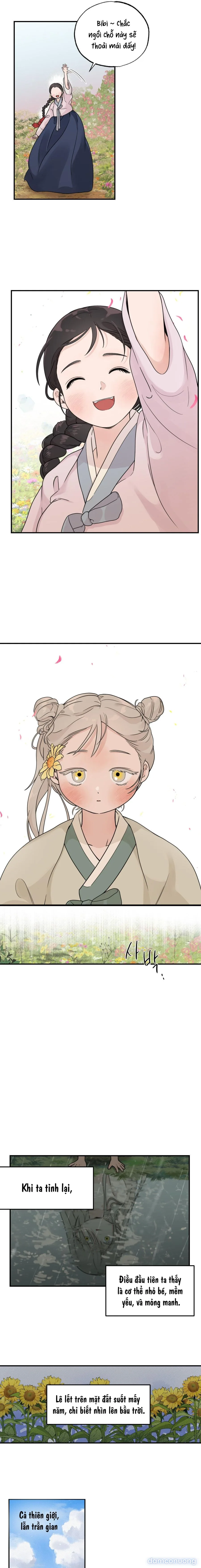 〖 KHÔNG CHE 〗-〖18+〗- BIBISAE 