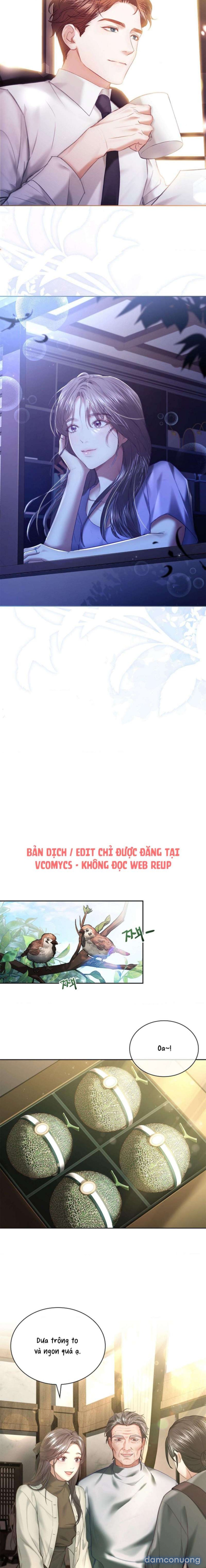 [18+] Người Vợ Trẻ 