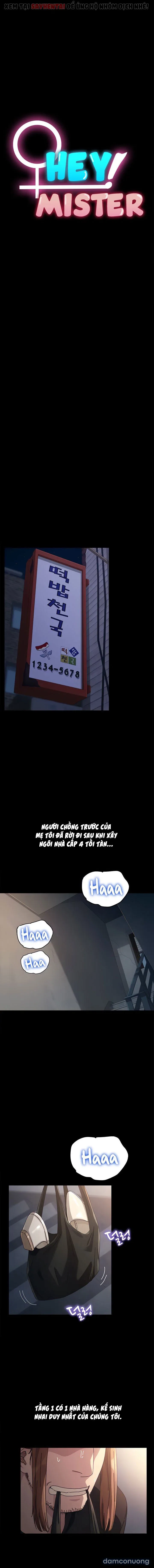 Đàn ông nội trợ 