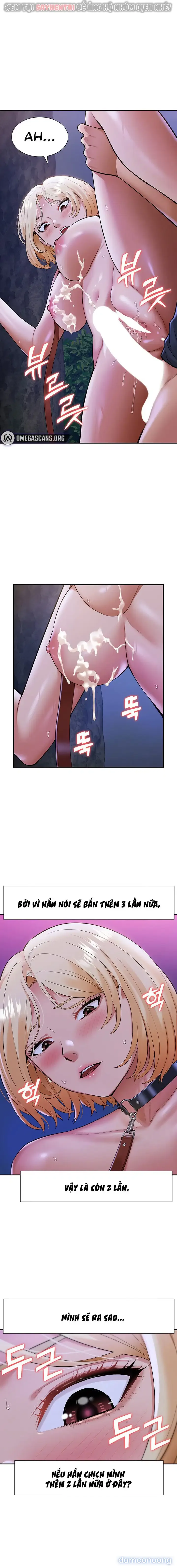 Dàn harem Idol nữ của tôi 