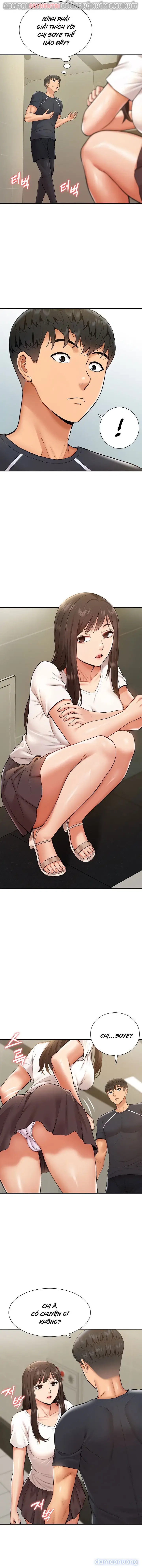 Dàn harem Idol nữ của tôi 