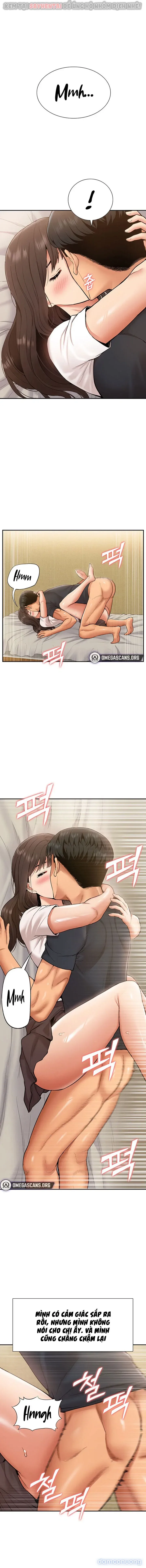 Dàn harem Idol nữ của tôi 
