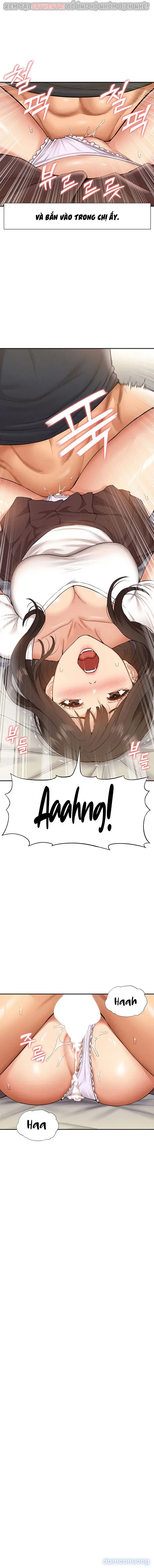 Dàn harem Idol nữ của tôi 