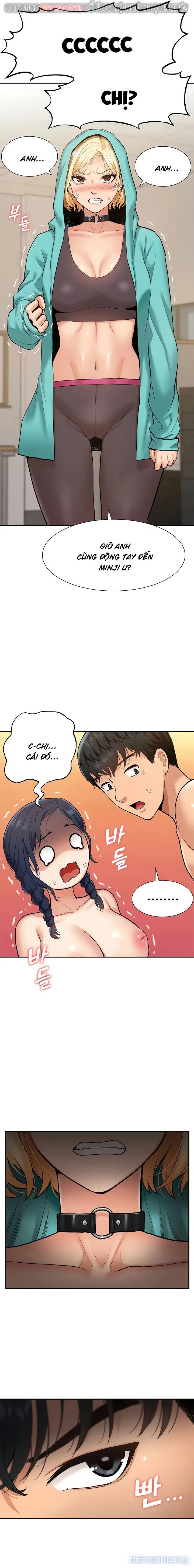 Dàn harem Idol nữ của tôi 