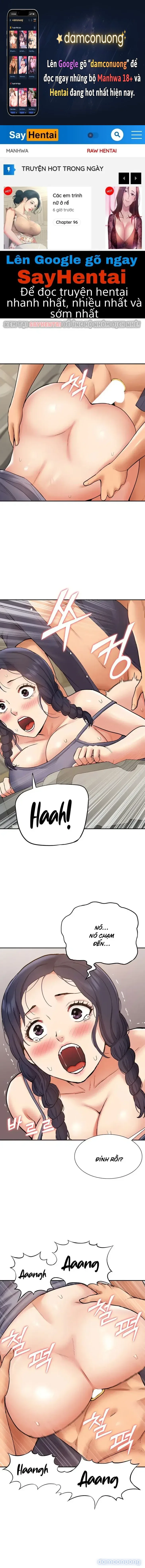 Dàn harem Idol nữ của tôi 