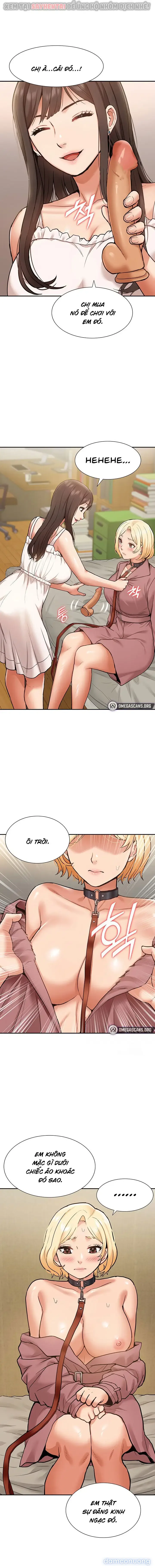 Dàn harem Idol nữ của tôi 