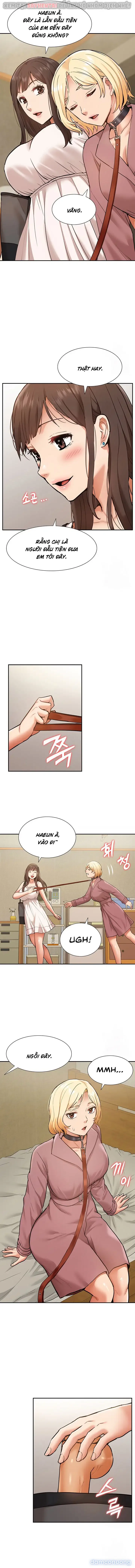 Dàn harem Idol nữ của tôi 
