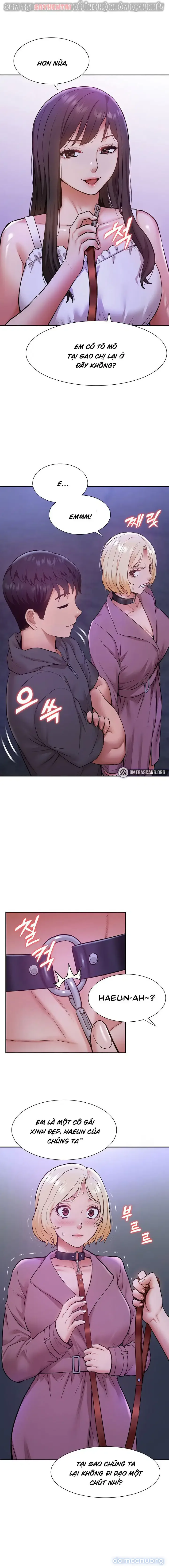 Dàn harem Idol nữ của tôi 