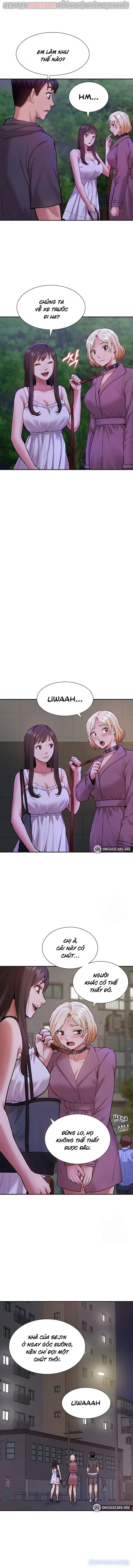 Dàn harem Idol nữ của tôi 