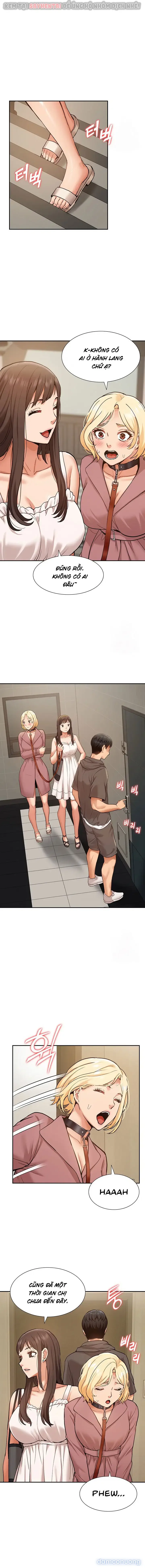 Dàn harem Idol nữ của tôi 