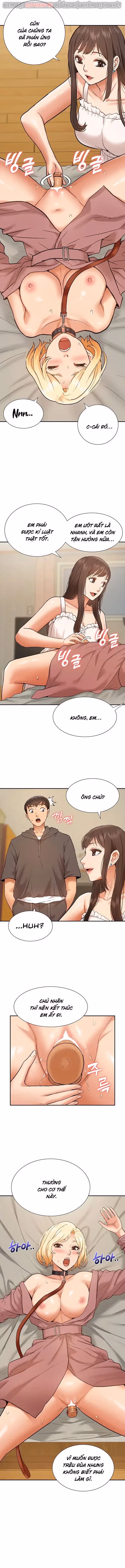Dàn harem Idol nữ của tôi 