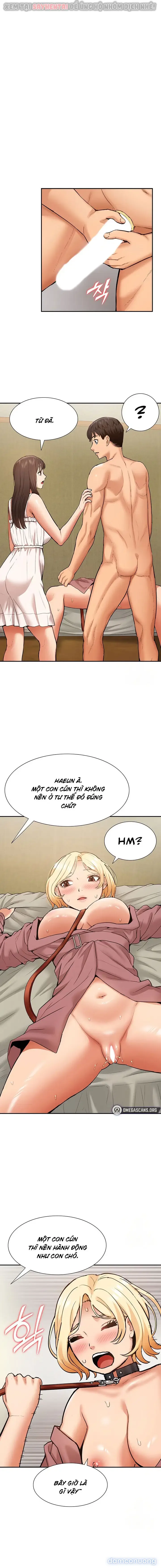 Dàn harem Idol nữ của tôi 